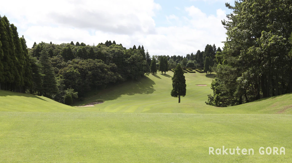 千葉国際カントリークラブのコース風景